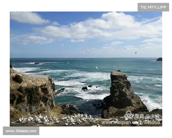 2017新西兰 赛事 新西兰锦标赛ds 2017新西兰 赛事 新西兰锦标赛ds